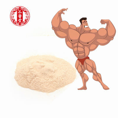 20g/Bag μαζικός Gainer ISO 100 τροφίμων αθλητικής διατροφής πρωτεϊνική σκόνη ορρού γάλακτος