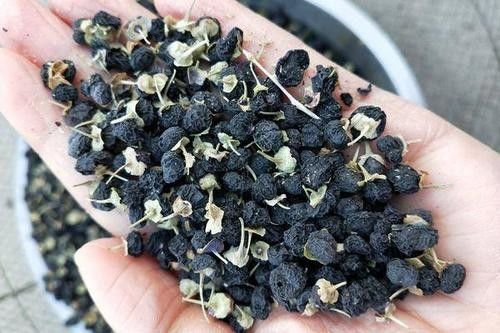 COem που συσκευάζει το κινεζικό χορταριών τσάι μούρων Goji ποτών καθαρό ξηρό μαύρο
